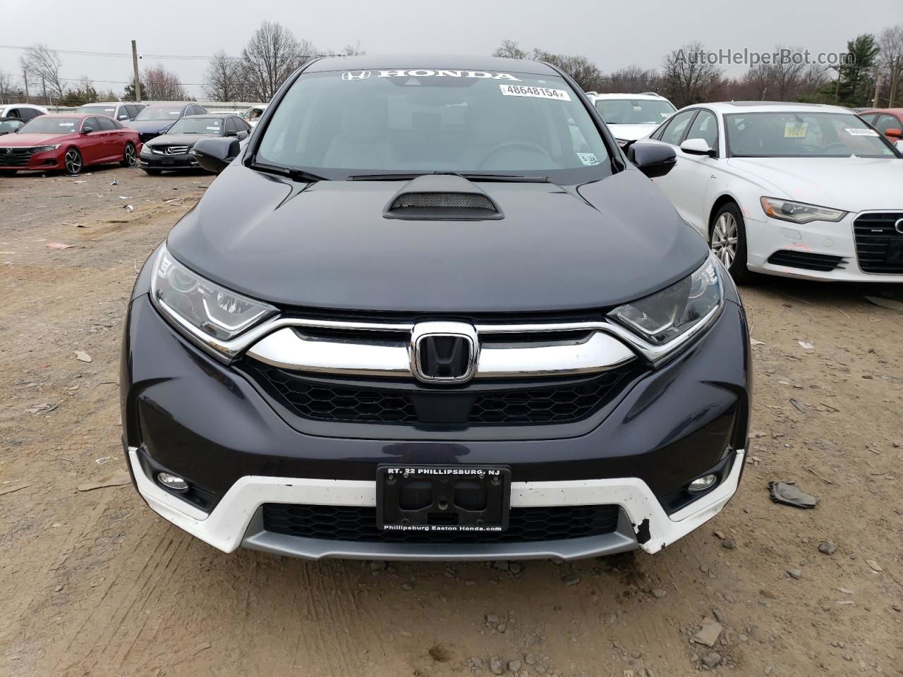 2019 Honda Cr-v Exl Gray vin: 2HKRW2H82KH606093