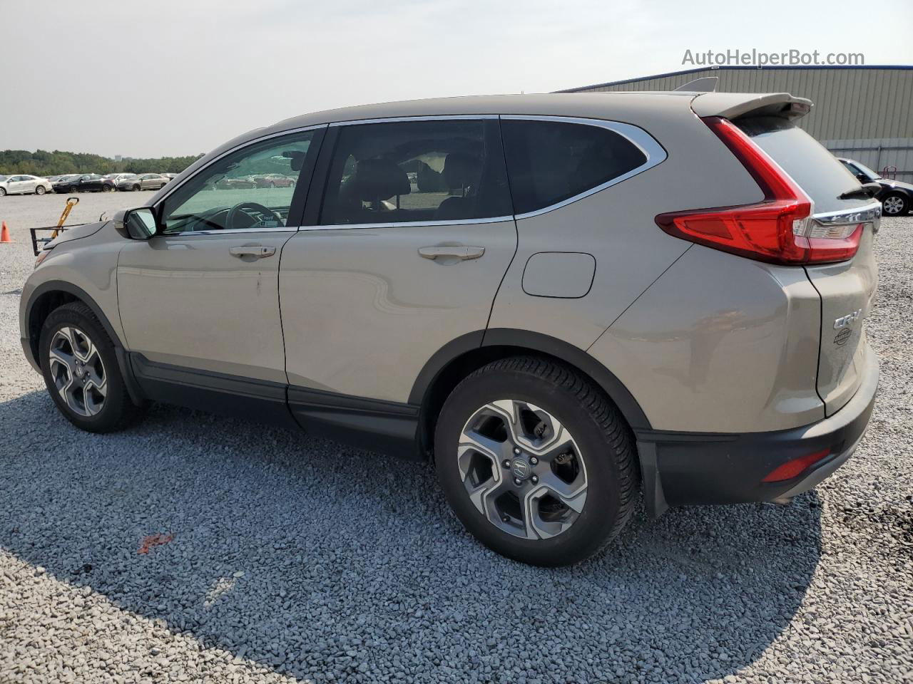 2019 Honda Cr-v Exl Tan vin: 2HKRW2H84KH636633