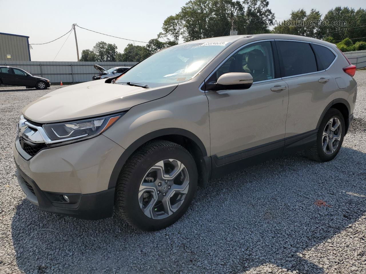 2019 Honda Cr-v Exl Tan vin: 2HKRW2H84KH636633