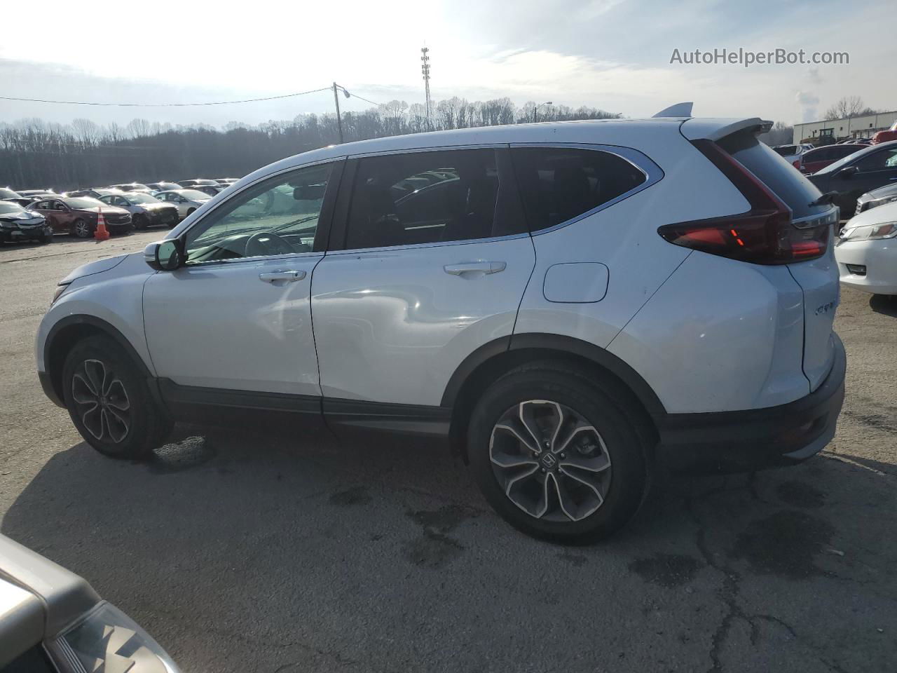 2020 Honda Cr-v Exl White vin: 2HKRW2H84LH664353