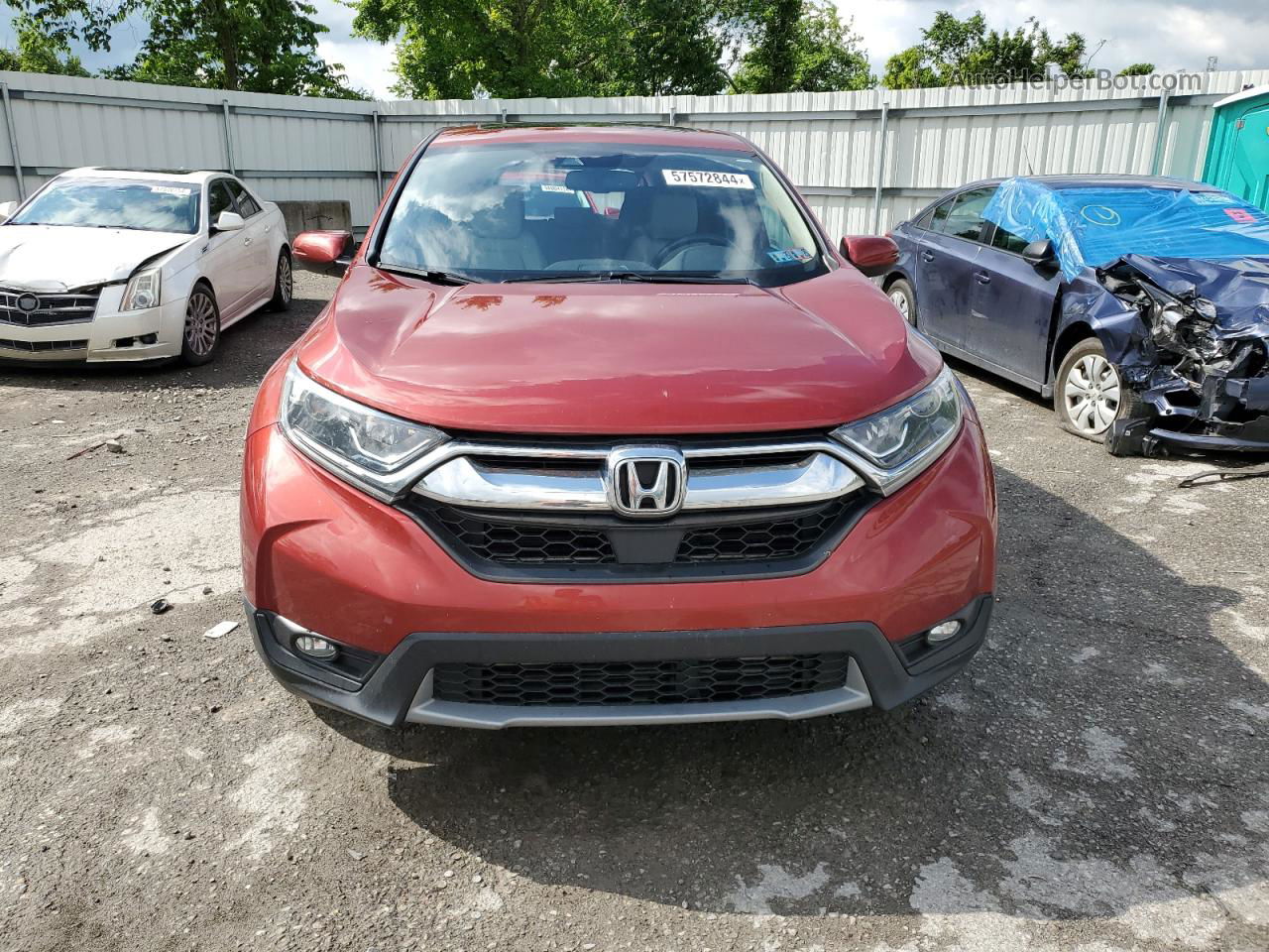 2018 Honda Cr-v Exl Бордовый vin: 2HKRW2H85JH651706