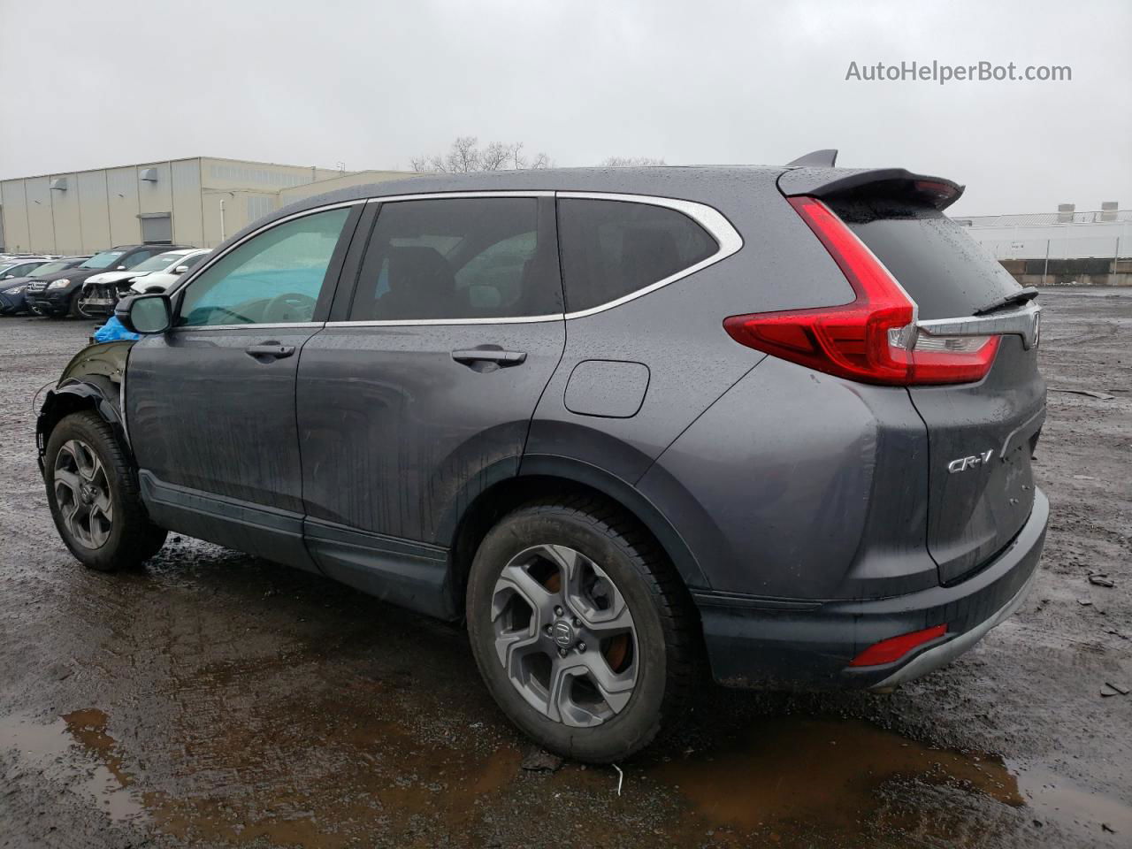 2017 Honda Cr-v Exl Gray vin: 2HKRW2H86HH649098