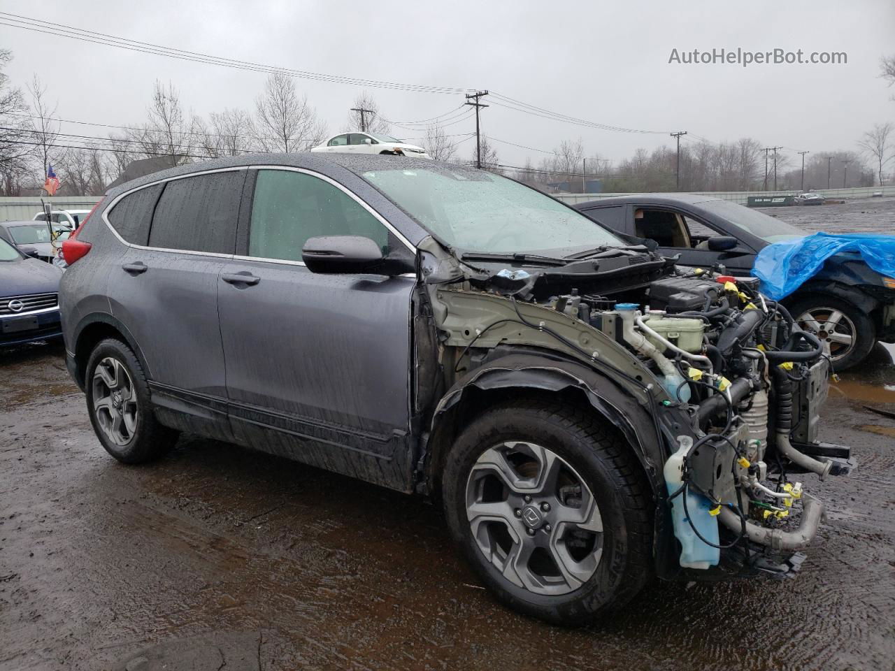 2017 Honda Cr-v Exl Gray vin: 2HKRW2H86HH649098