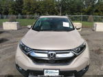 2019 Honda Cr-v Ex-l Beige vin: 2HKRW2H86KH635452