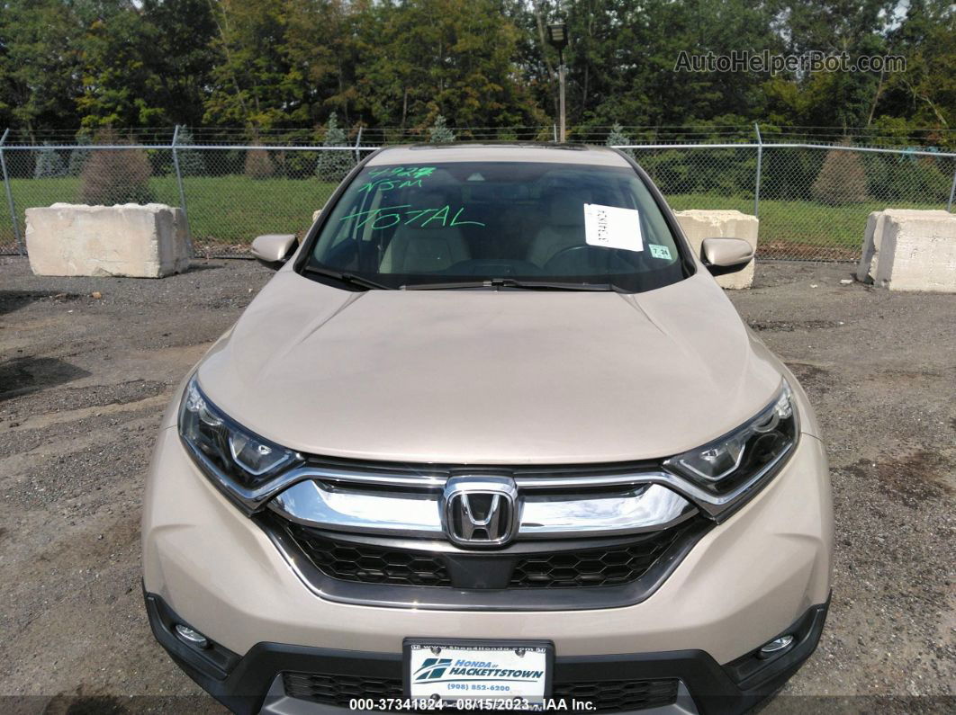 2019 Honda Cr-v Ex-l Beige vin: 2HKRW2H86KH635452