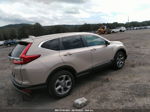 2019 Honda Cr-v Ex-l Beige vin: 2HKRW2H86KH635452