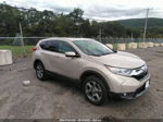 2019 Honda Cr-v Ex-l Beige vin: 2HKRW2H86KH635452