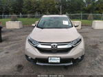 2019 Honda Cr-v Ex-l Beige vin: 2HKRW2H86KH635452