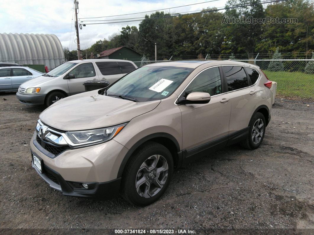 2019 Honda Cr-v Ex-l Beige vin: 2HKRW2H86KH635452