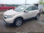 2019 Honda Cr-v Ex-l Brown vin: 2HKRW2H86KH644183