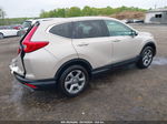 2019 Honda Cr-v Ex-l Brown vin: 2HKRW2H86KH644183