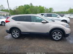 2019 Honda Cr-v Ex-l Brown vin: 2HKRW2H86KH644183