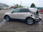 2019 Honda Cr-v Ex-l Brown vin: 2HKRW2H86KH644183