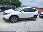 2019 Honda Cr-v Ex-l White vin: 2HKRW2H88KH630253