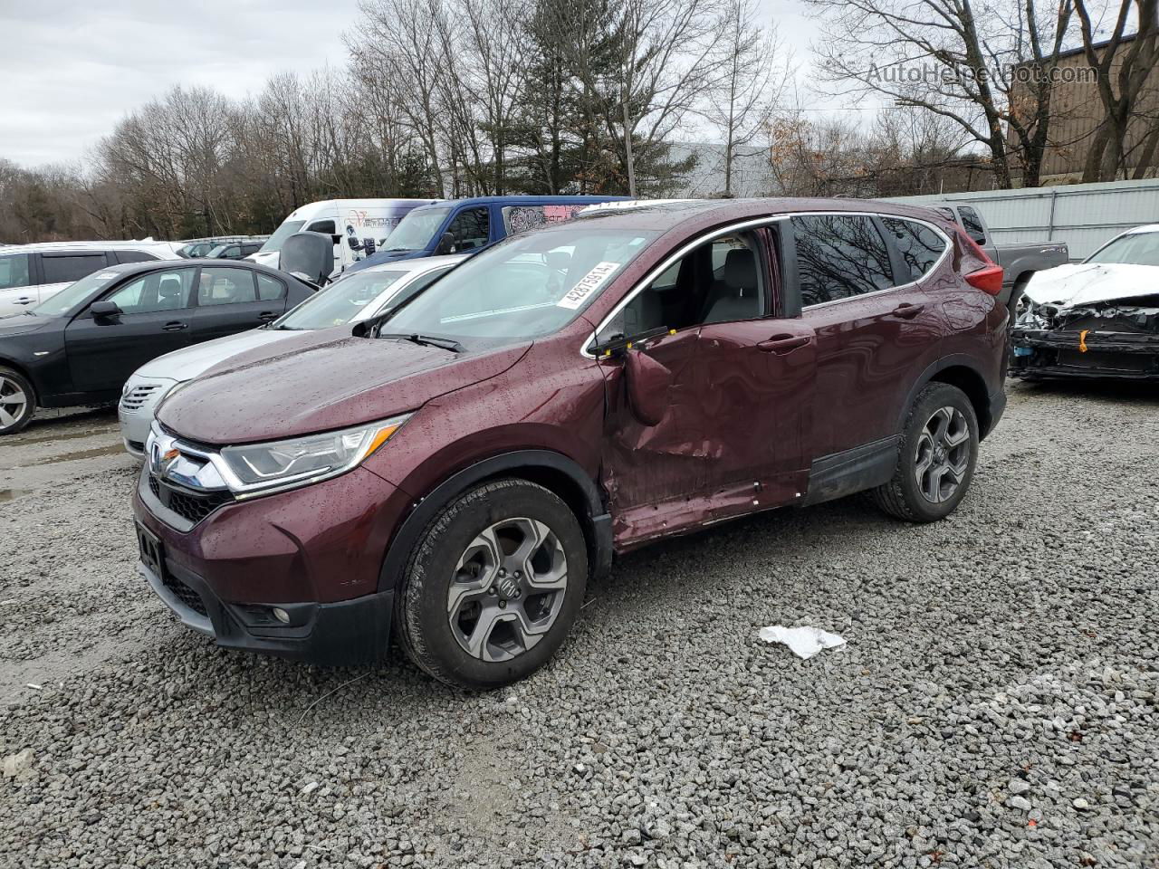 2019 Honda Cr-v Exl Burgundy vin: 2HKRW2H89KH646333