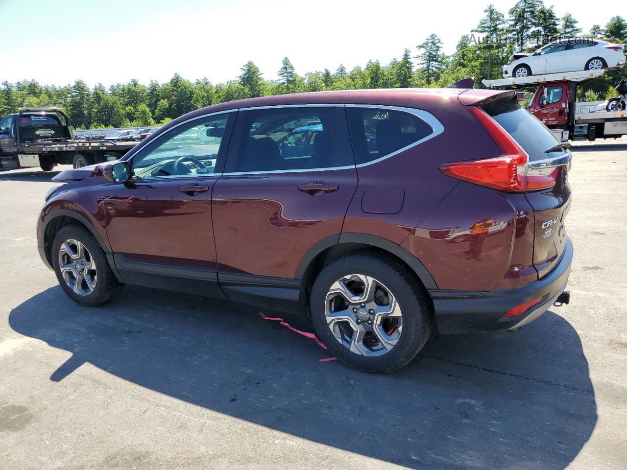 2019 Honda Cr-v Exl Burgundy vin: 2HKRW2H89KH675377