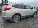 2019 Honda Cr-v Exl Tan vin: 2HKRW2H8XKH600574