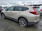 2019 Honda Cr-v Exl Tan vin: 2HKRW2H8XKH600574