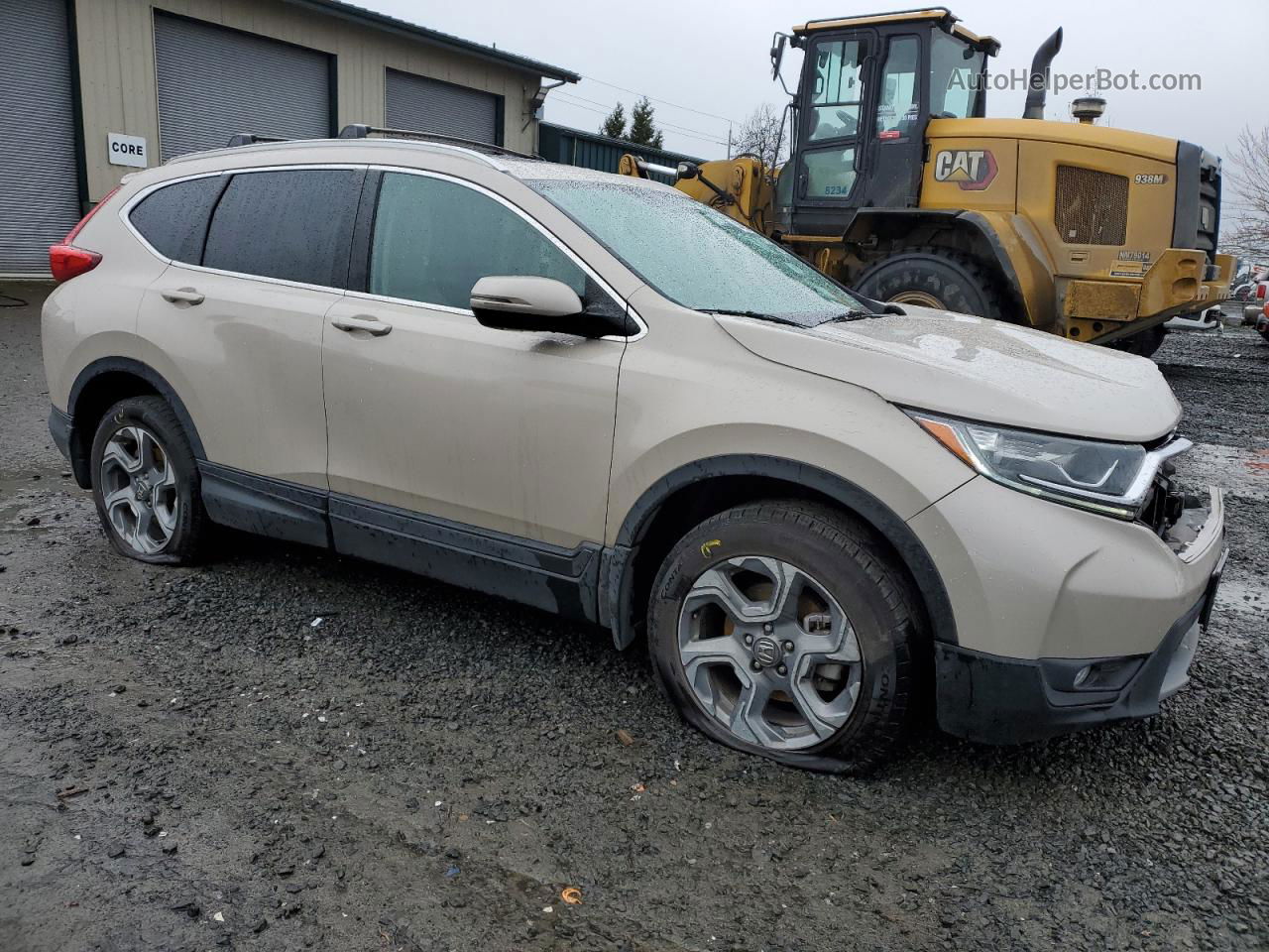 2019 Honda Cr-v Exl Tan vin: 2HKRW2H8XKH600574