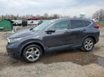 2019 Honda Cr-v Exl Gray vin: 2HKRW2H8XKH647698