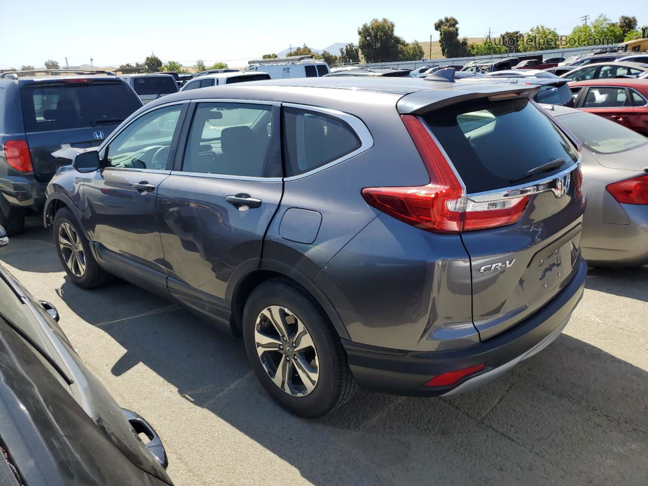 2019 Honda Cr-v Lx Gray vin: 2HKRW5H32KH415943