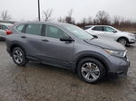 2019 Honda Cr-v Lx Gray vin: 2HKRW5H34KH406158