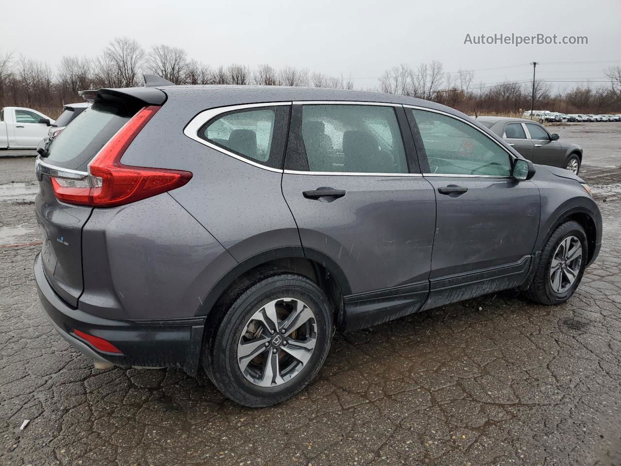 2019 Honda Cr-v Lx Gray vin: 2HKRW5H34KH406158