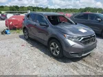 2019 Honda Cr-v Lx Gray vin: 2HKRW5H35KH412843