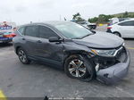 2019 Honda Cr-v Lx Gray vin: 2HKRW5H38KH404266