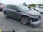 2019 Honda Cr-v Lx Gray vin: 2HKRW5H38KH404266