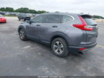 2019 Honda Cr-v Lx Gray vin: 2HKRW5H38KH404266