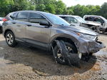 2017 Honda Cr-v Lx Gray vin: 2HKRW6H36HH206347