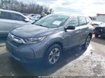 2017 Honda Cr-v Lx Gray vin: 2HKRW6H37HH203215