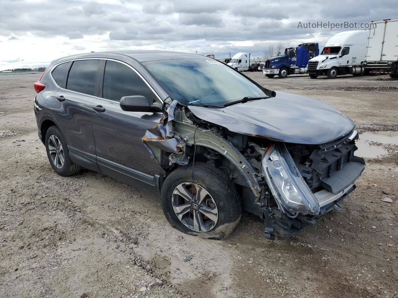 2019 Honda Cr-v Lx Gray vin: 2HKRW6H3XKH203670