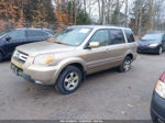 2007 Honda Pilot Ex-l Gold vin: 2HKYF18517H528845