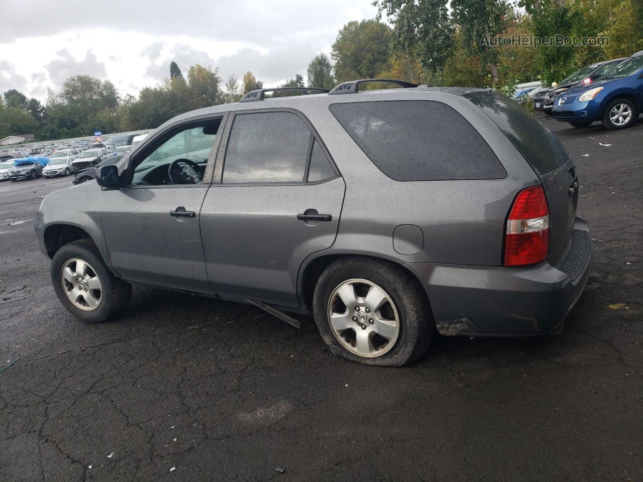 2005 Acura Mdx  Серый vin: 2HNYD18225H549151