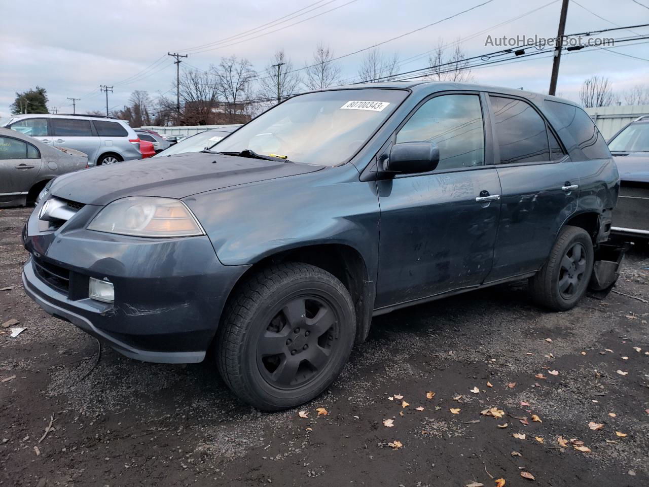 2005 Acura Mdx  Серый vin: 2HNYD18235H559140