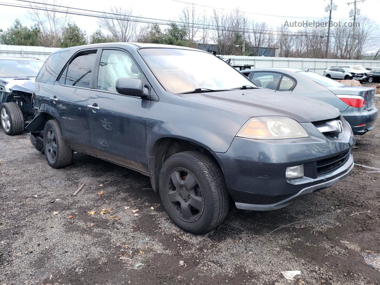 2005 Acura Mdx  Серый vin: 2HNYD18235H559140