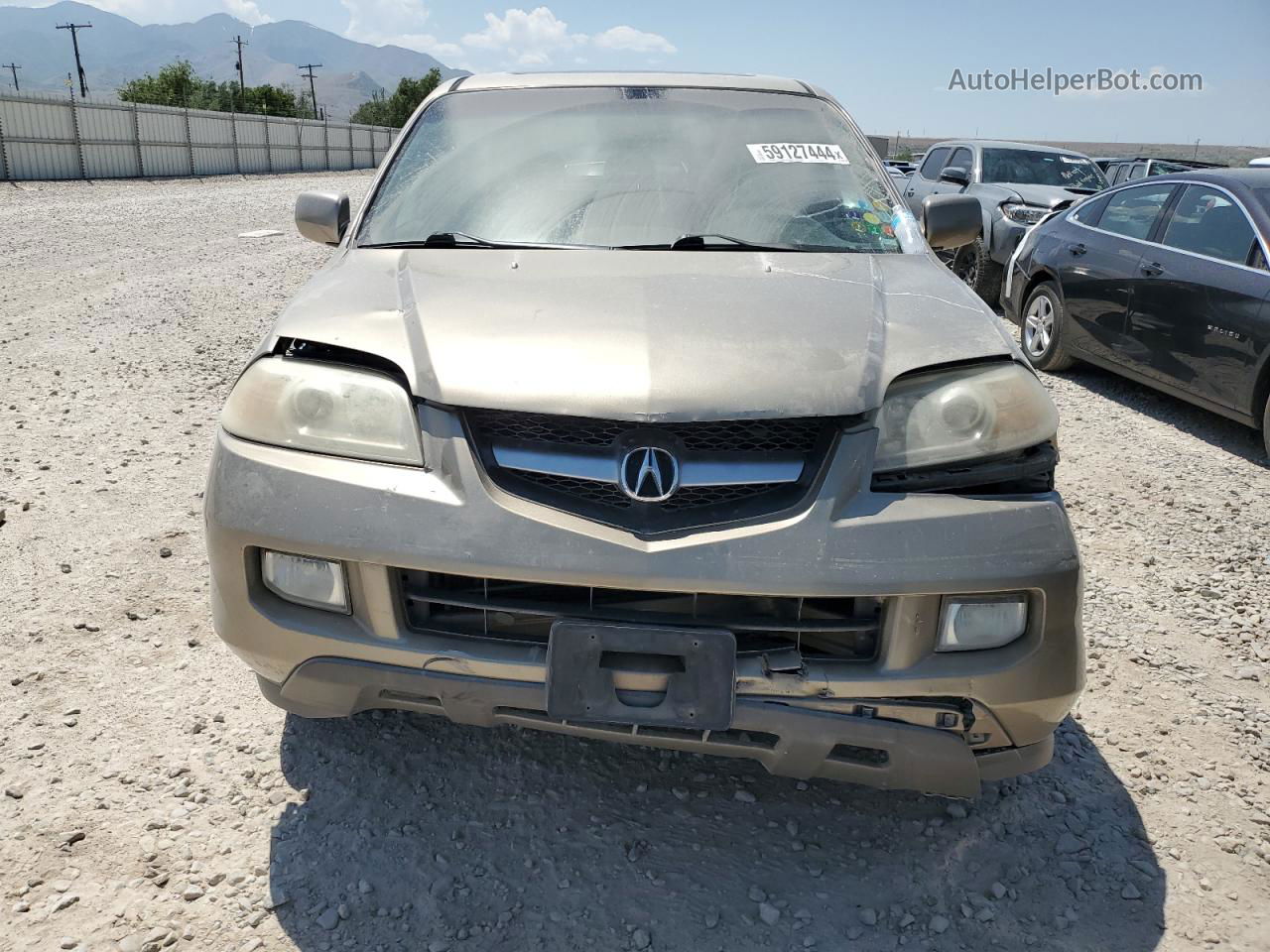 2005 Acura Mdx  Gold vin: 2HNYD18275H543202