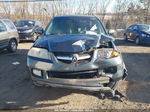 2005 Acura Mdx   Серый vin: 2HNYD18295H541368