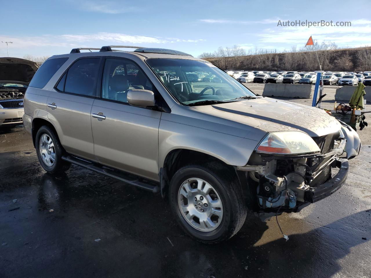 2002 Acura Mdx  Золотой vin: 2HNYD182X2H534957