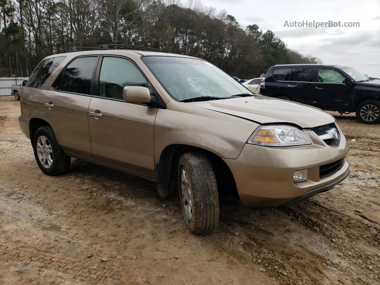 2005 Acura Mdx Touring Gold vin: 2HNYD18685H512110