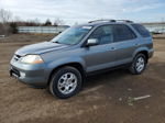 2002 Acura Mdx Touring Silver vin: 2HNYD18692H523838