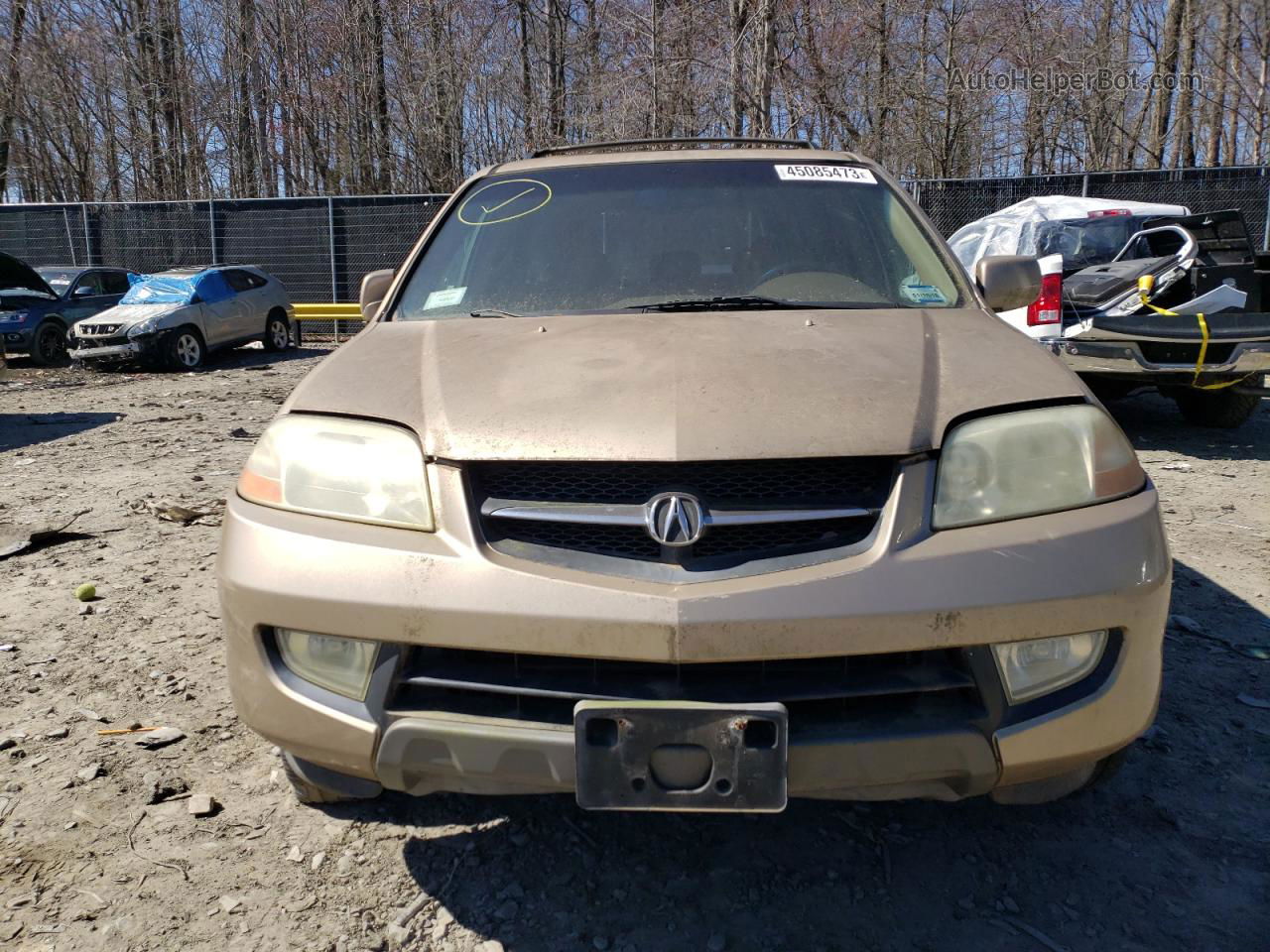 2002 Acura Mdx Touring Золотой vin: 2HNYD186X2H512508