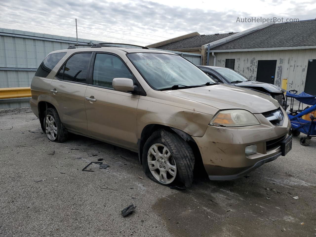 2005 Acura Mdx Touring Gold vin: 2HNYD186X5H544895