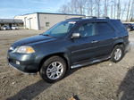 2005 Acura Mdx Touring Gray vin: 2HNYD18715H531459