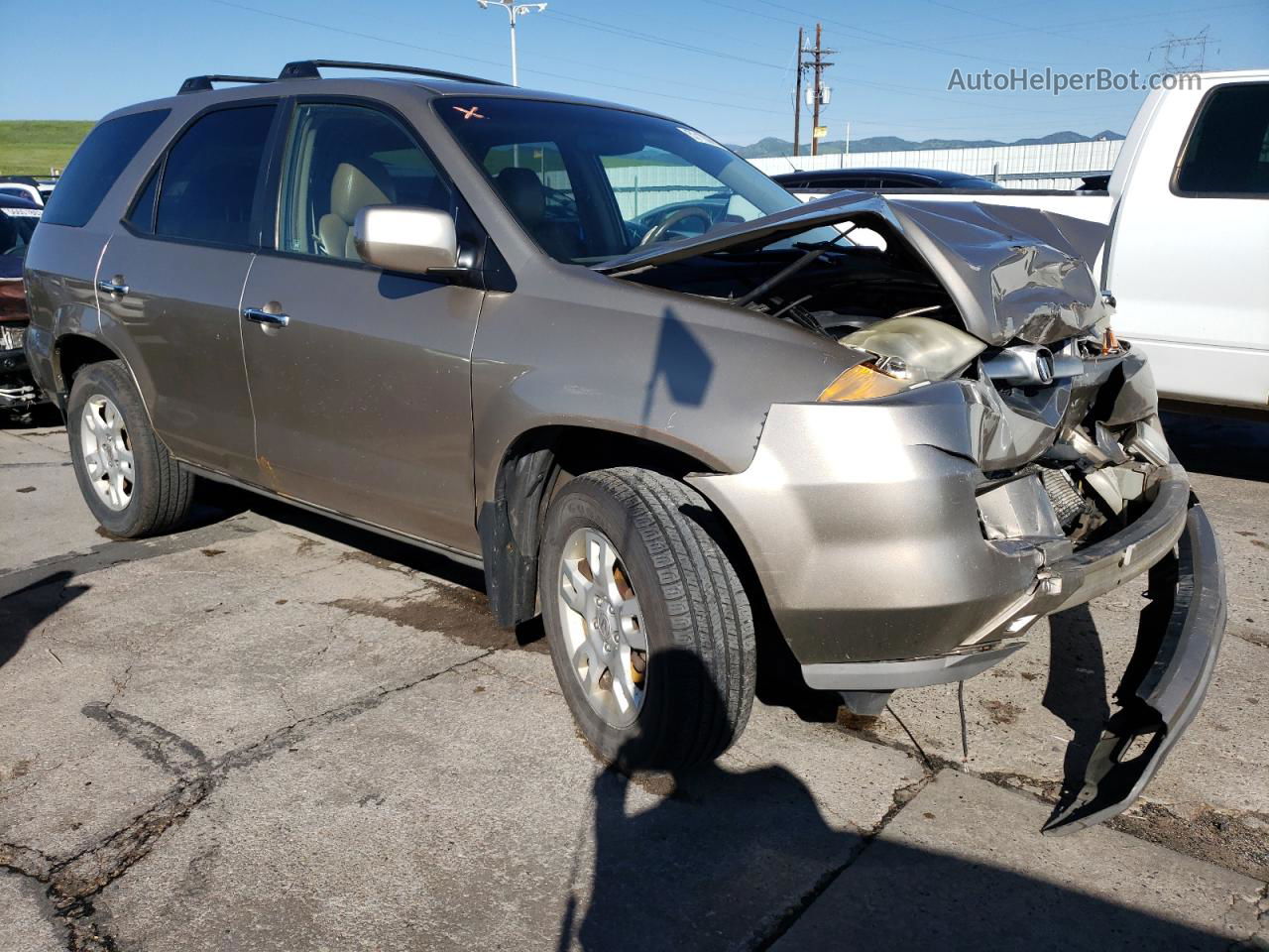 2005 Acura Mdx Touring Gold vin: 2HNYD18765H525849