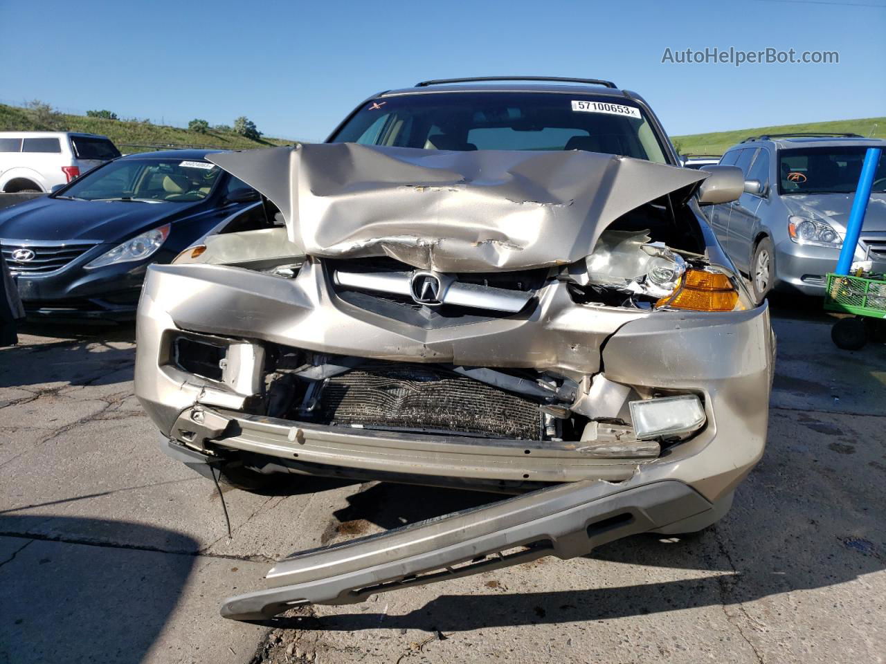 2005 Acura Mdx Touring Gold vin: 2HNYD18765H525849