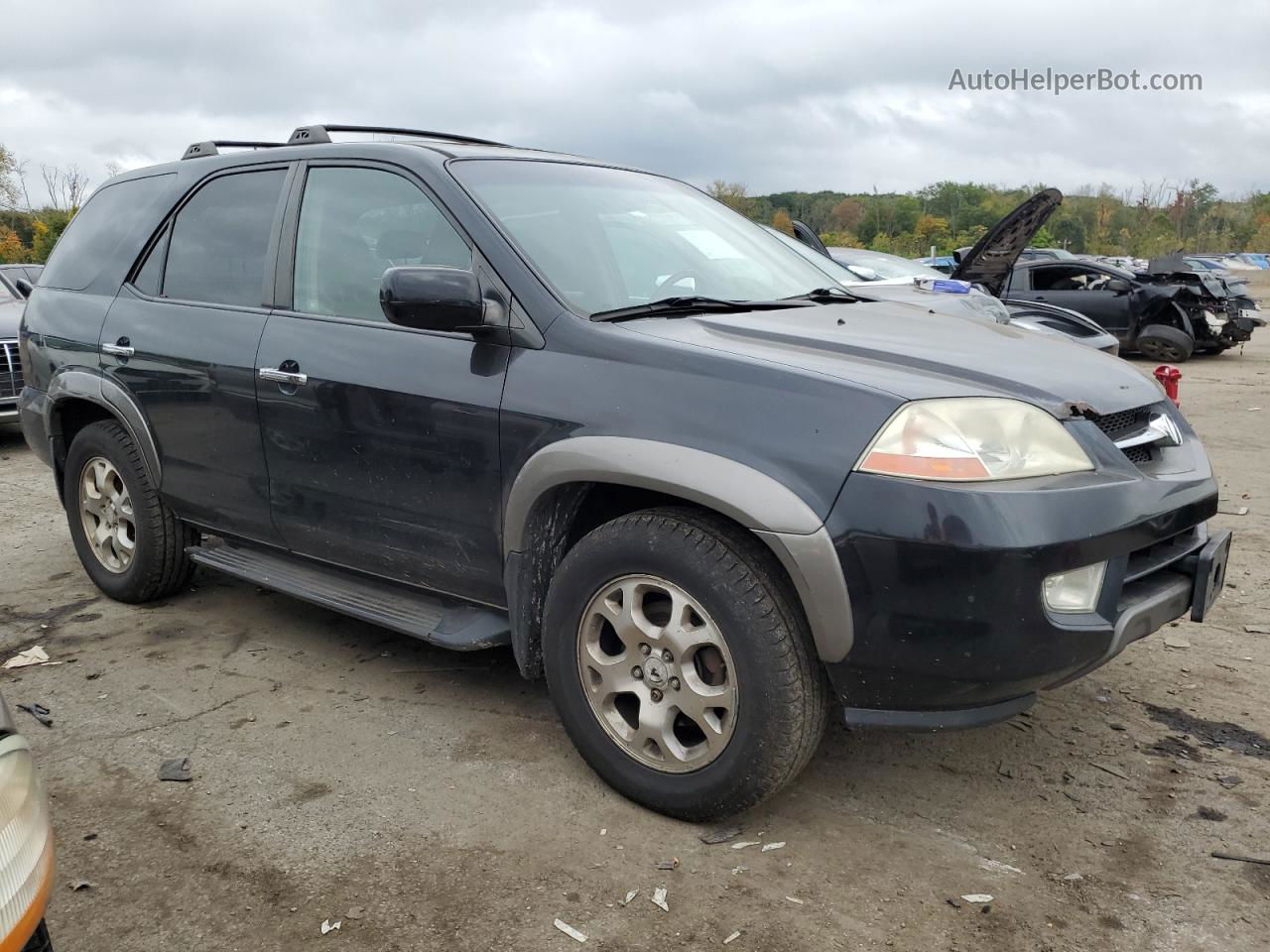 2002 Acura Mdx Touring Black vin: 2HNYD18822H504176