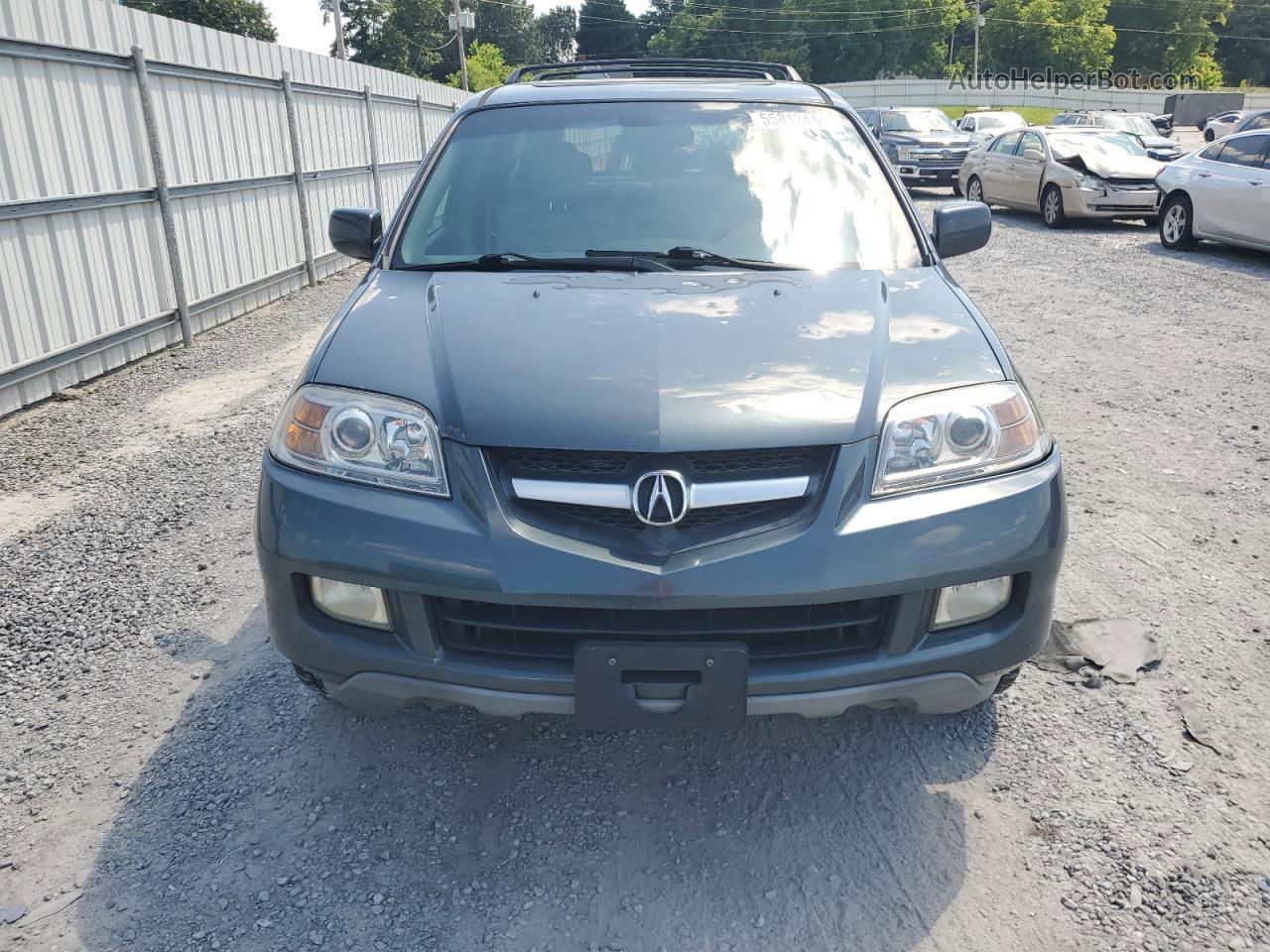 2005 Acura Mdx Touring Blue vin: 2HNYD18825H553284